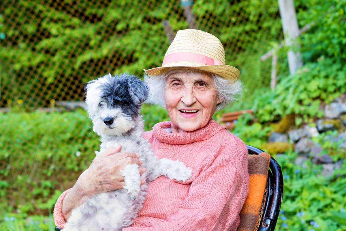 Pets and Seniors: An Unexpectedly Positive Relationship